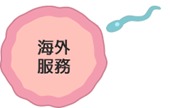 slider-button-oversea-service-95