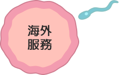 slider-button-oversea-service