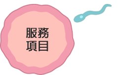 slider-button-service-95