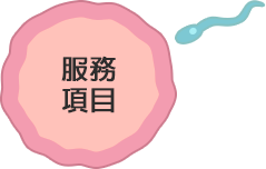 slider-button-service